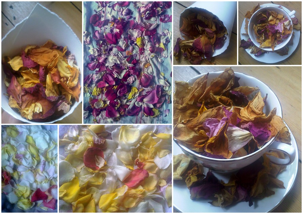 rose petal confetti making rose petal confetti for the wed… Peacock