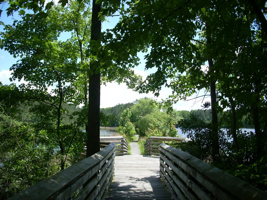 Sandy Bottom Nature Park Hampton, VA Ryan Flickr
