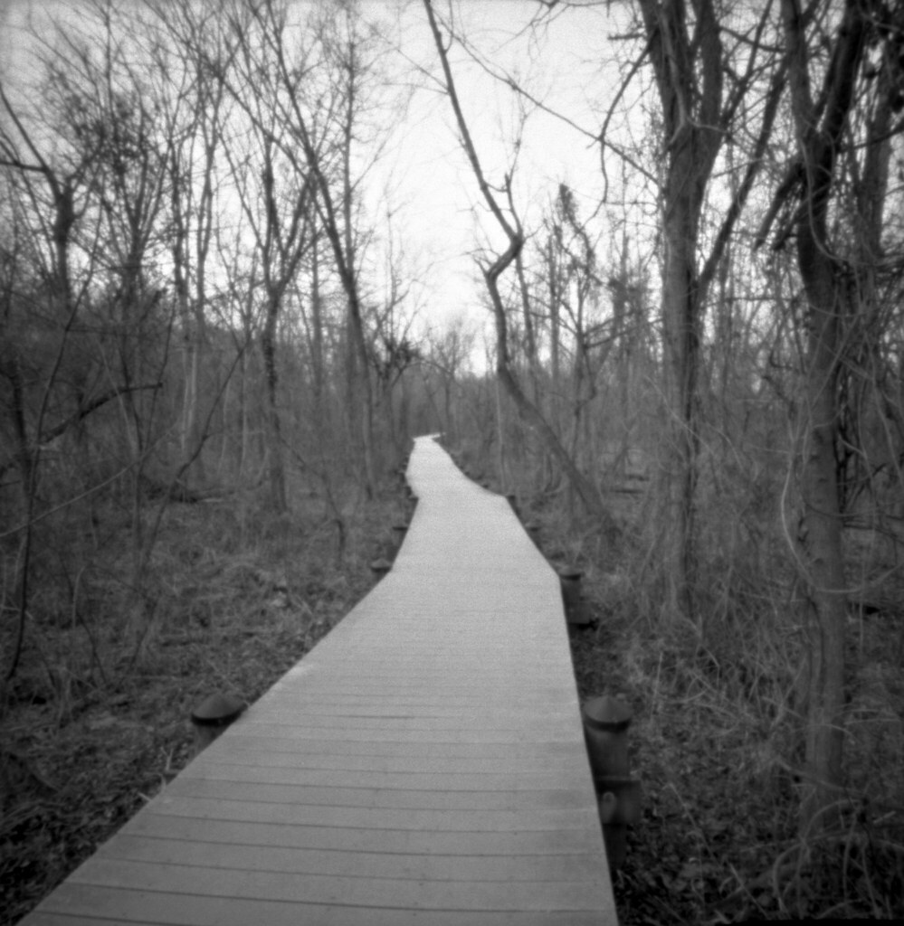 Roosevelt Island markrd5538 Flickr