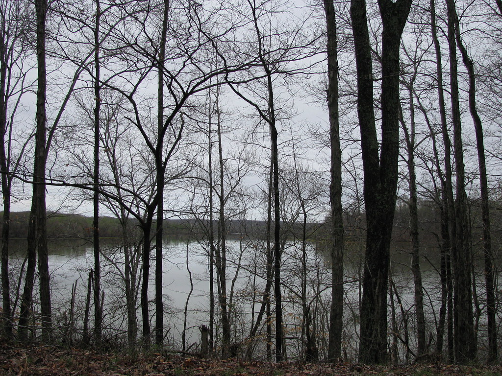 Kentucky Lake Humphreys County, Tennessee. NatalieMaynor Flickr
