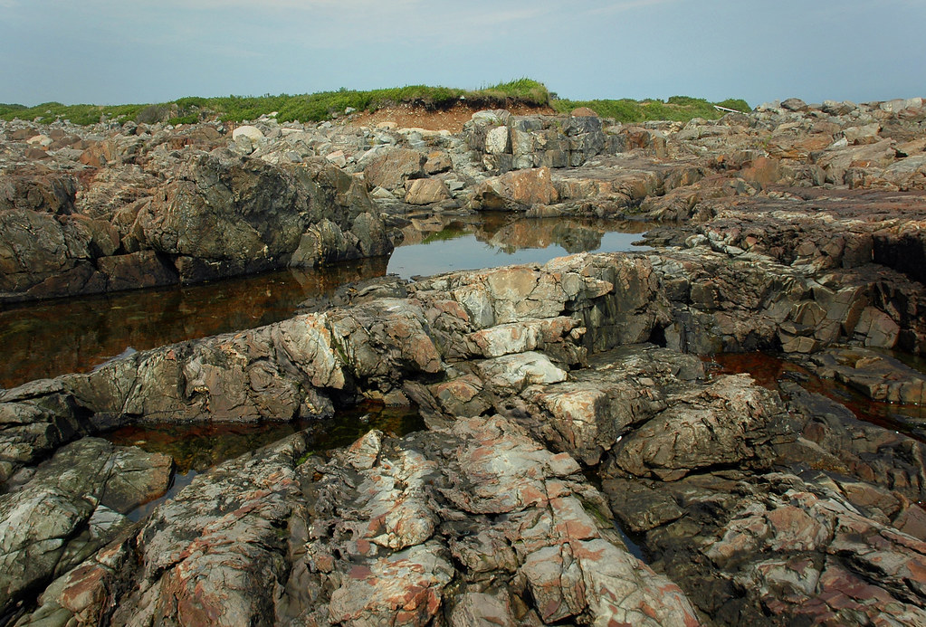 Inland East Point Sanctuary Biddeford Pool, Maine July 200… Flickr