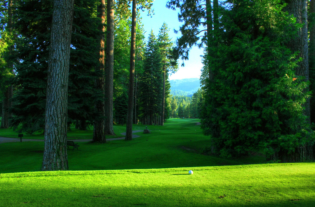 Ladies Tee Mt. Shasta Resort Evening on the golf course,… Flickr