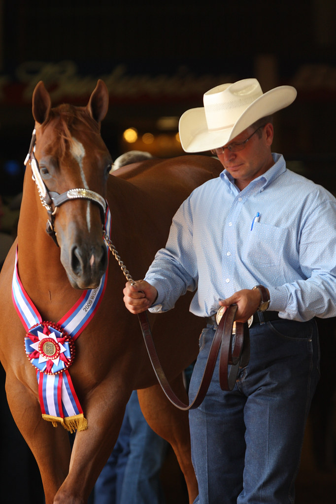 Last Out AQHA Professional Horseman Jason Smith escorts ne… Flickr