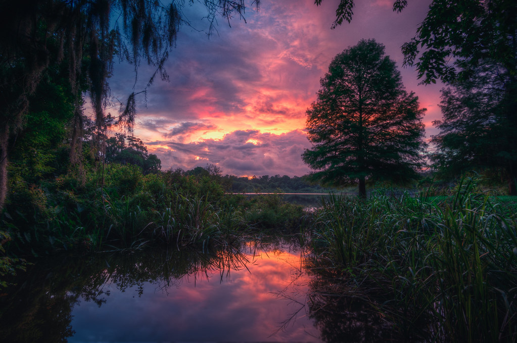 Lake Alice Sunrise Taken in Gainesville, FL at Lake Alice.… Flickr