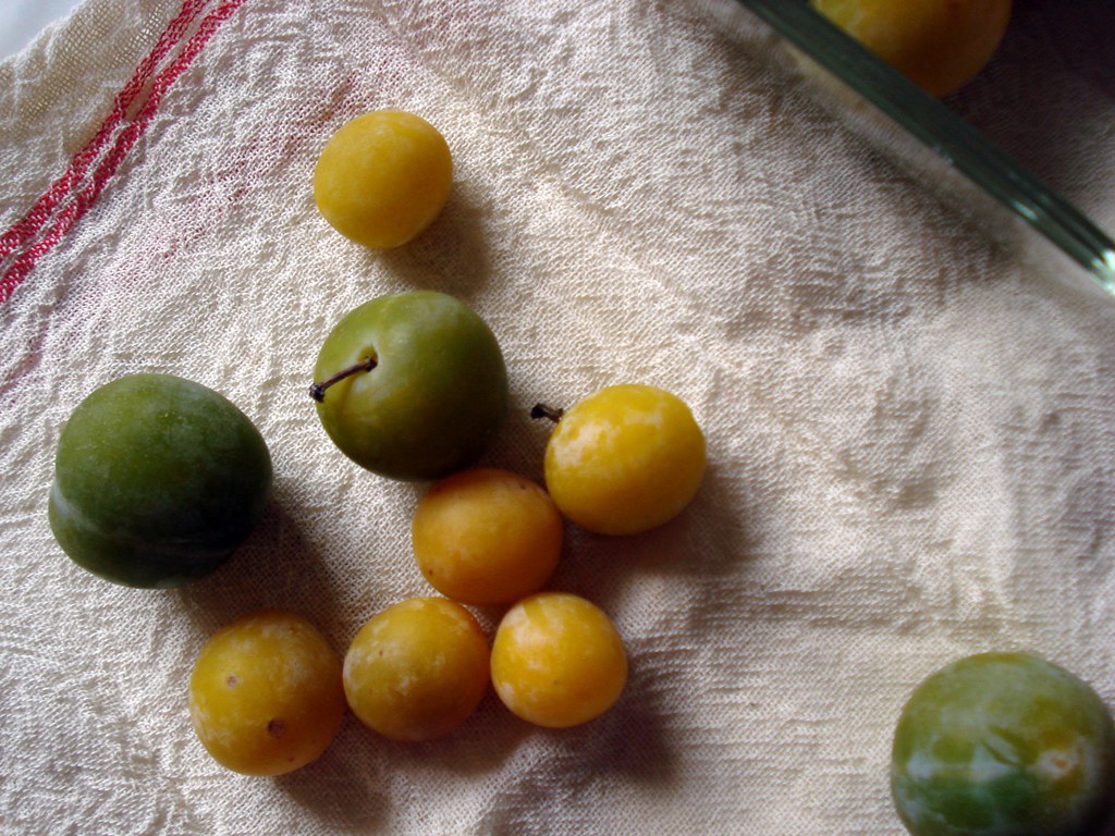 French plums Green are Reine Claude Plums Yellow are Mirab… Flickr