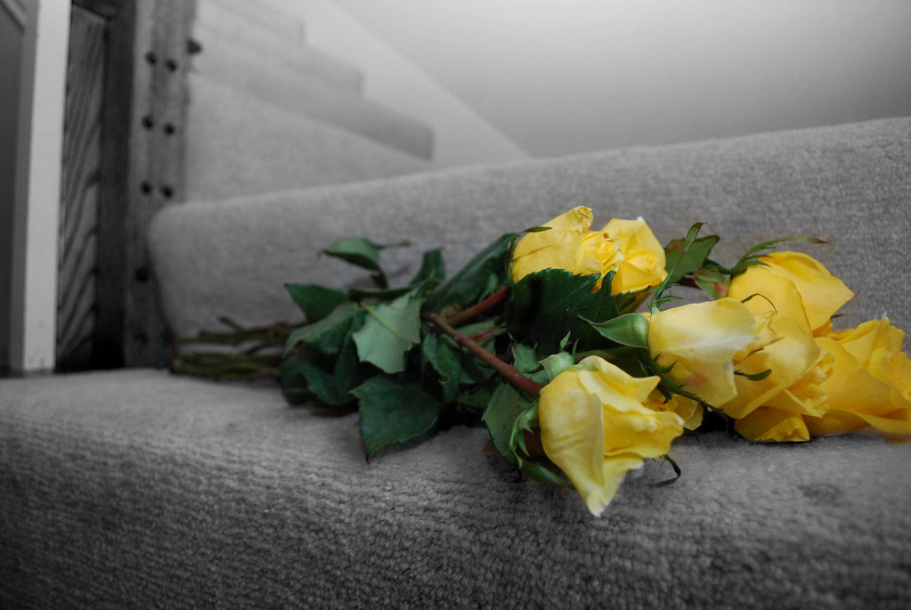 All the Small Things "she left me roses by the stairs, sur… Flickr