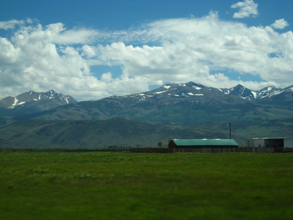 IMG_3421 Wendell Carpenter Flickr