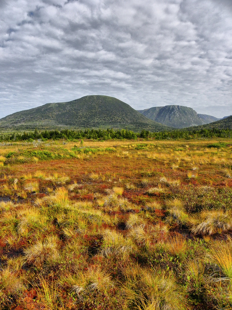 Cape Ray Colors Autumn is gradually arrivinhg in Cape Ray,… Flickr