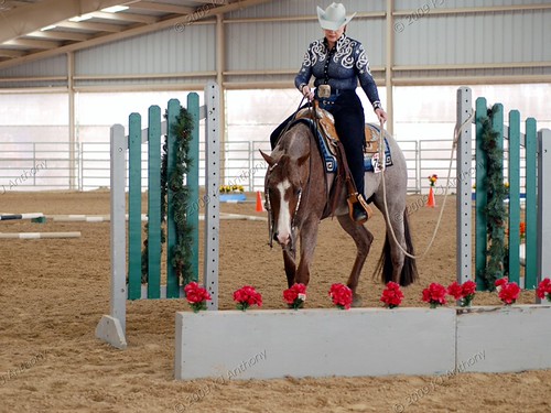 Silver Dollar Circuit Quarter Horse Show March 18 to 22, 2… Flickr