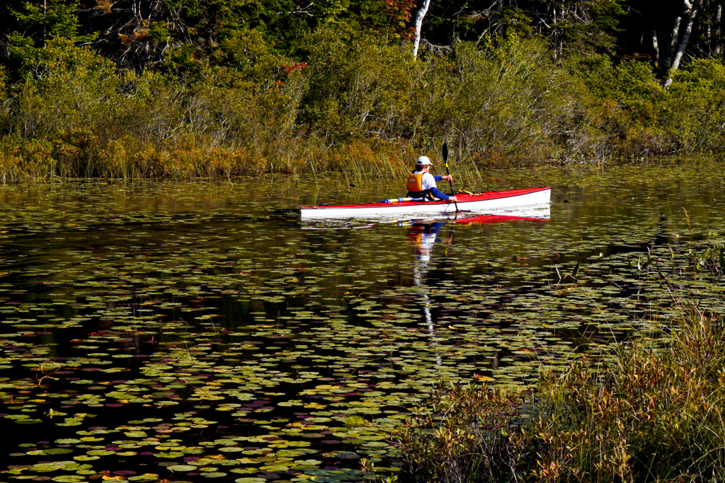 kayaker, Seal Cove Pond Kate Flickr