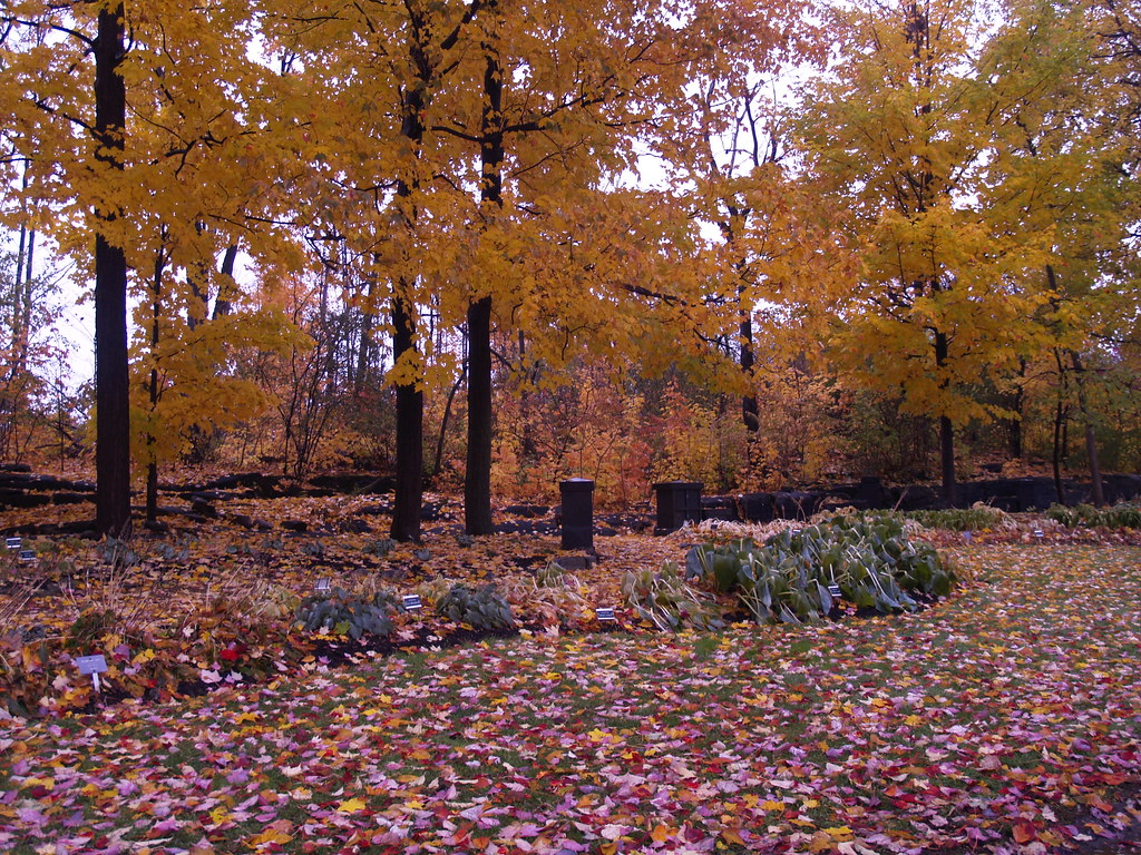 Beechwood Cemetery R. D. Barry Flickr