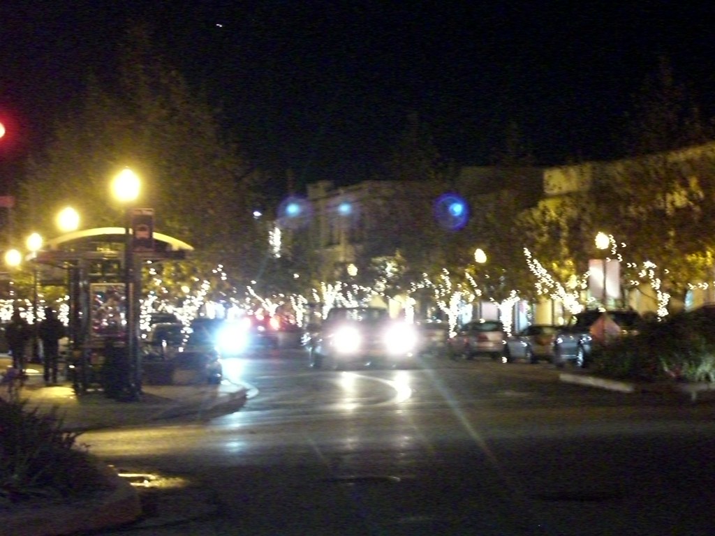 Stark befahren 20081220, Christmas Tree Lane, Palo Alto,… Flickr