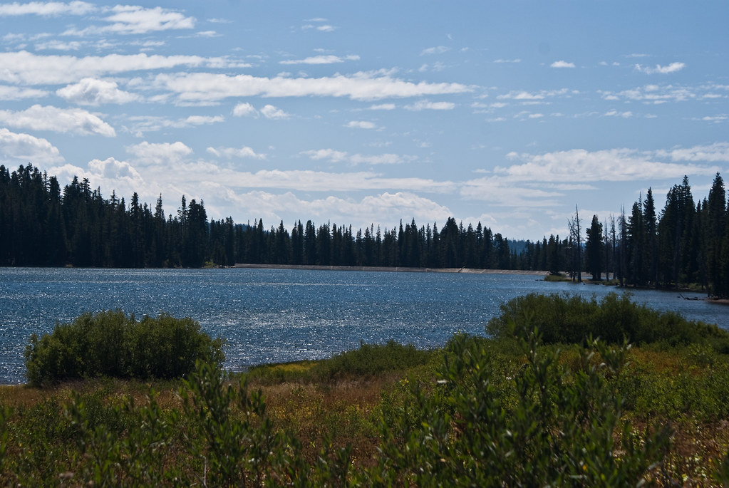 Meadow Lake and Dam Clint Jolly Flickr