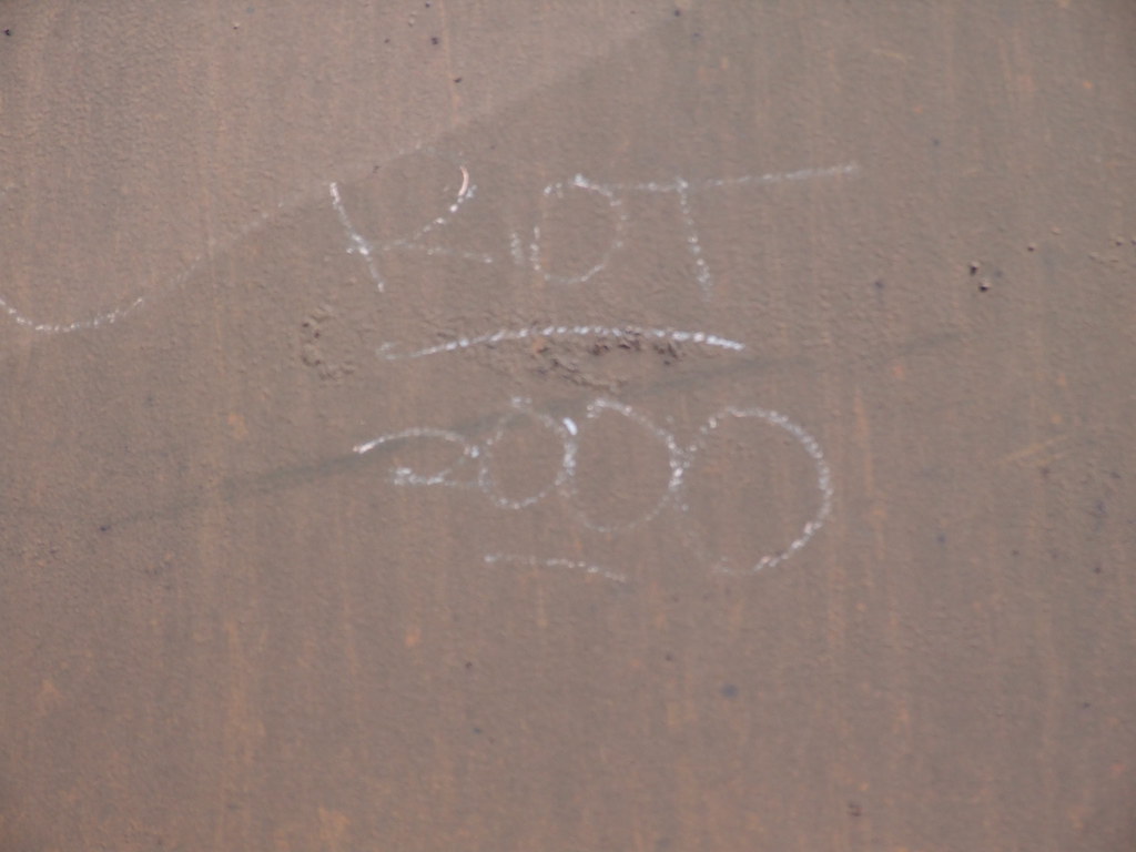 RIOT rattlesnake jones Flickr