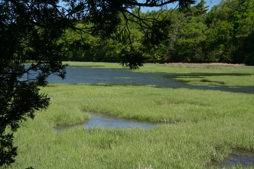 The Great Bay Estuary (credit Cynthia Irwin) Visit www.re… Flickr