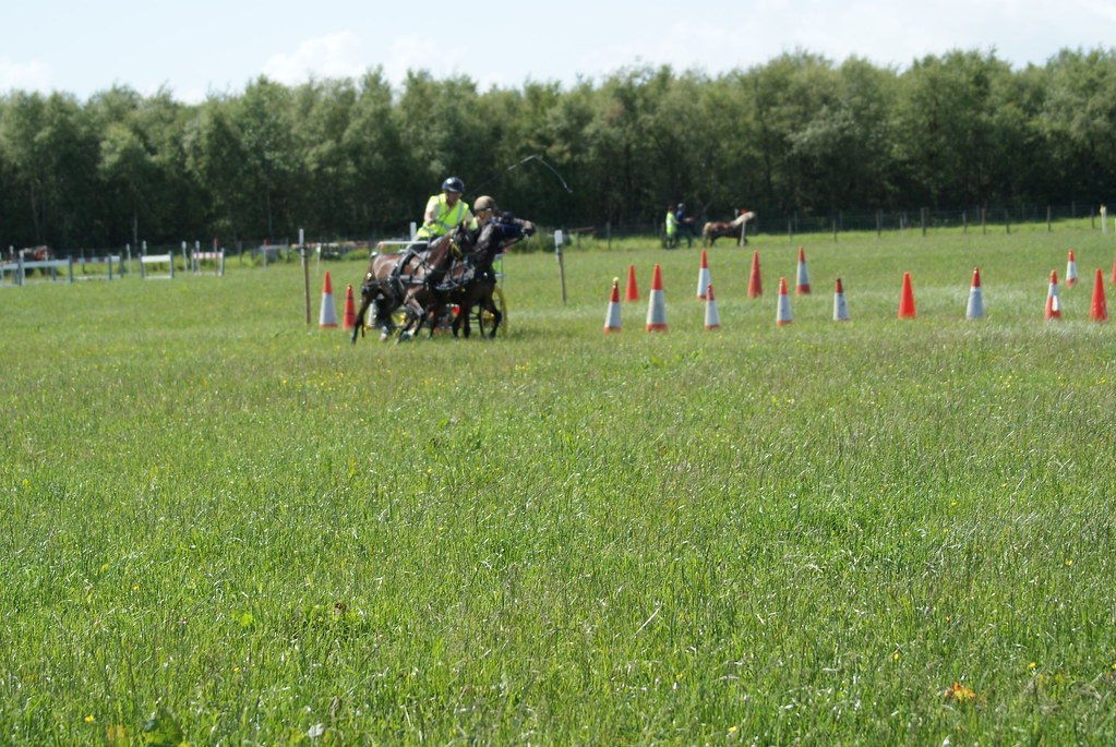 flowdons H D T 171 Dumfries and Galloway Horse Driving Club Flickr