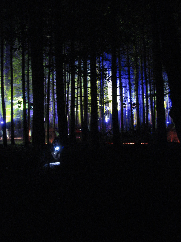 Sherwood Forest 2 Rothbury's Sherwood Forest at night 2