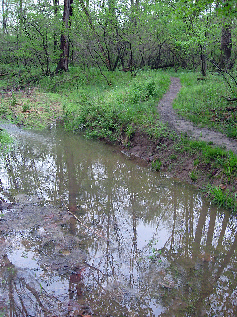 Peace Valley Park, Bucks County PA cormanosanchez Flickr