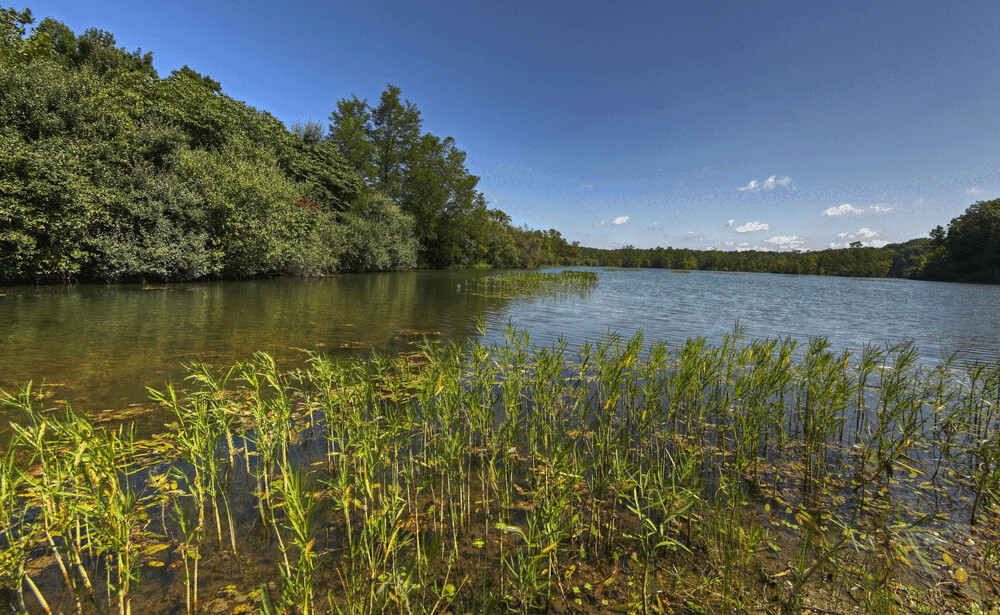 Kickapoo Lake by the Boat Dock This was taken by the boat … Flickr