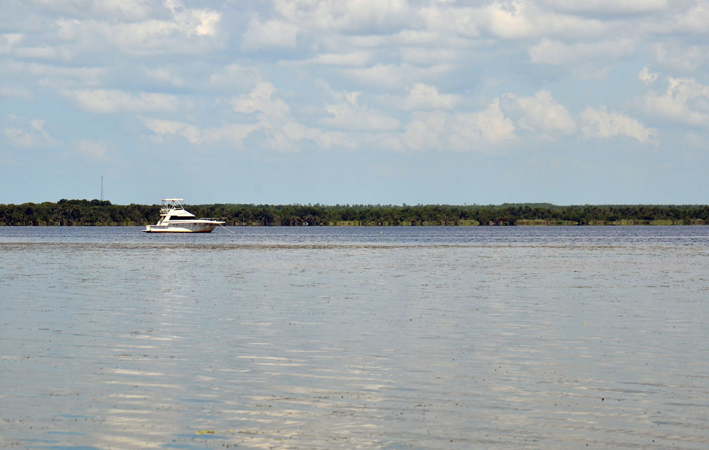 Lake Lake Ocala National Forest US Forest Se… Flickr