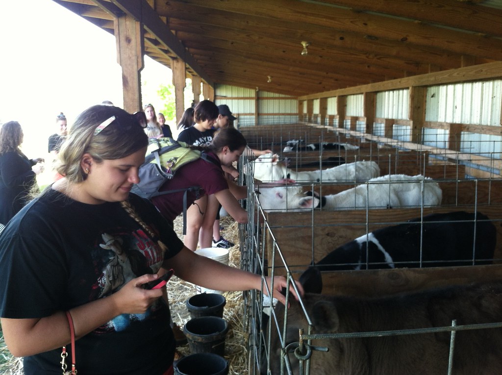 students_visitn_cows_at_mt_crawford_creamery Donna Garber Flickr