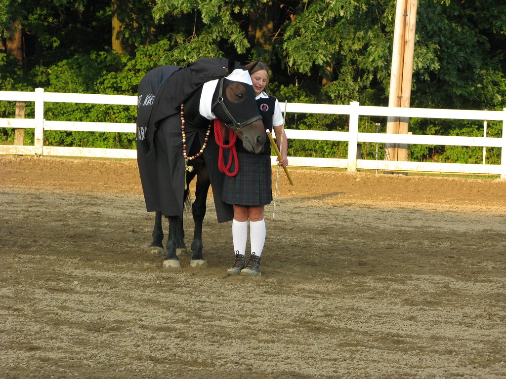 Costume Classes; 2009 Summit County Fair; Tallmadge, Ohio… Flickr