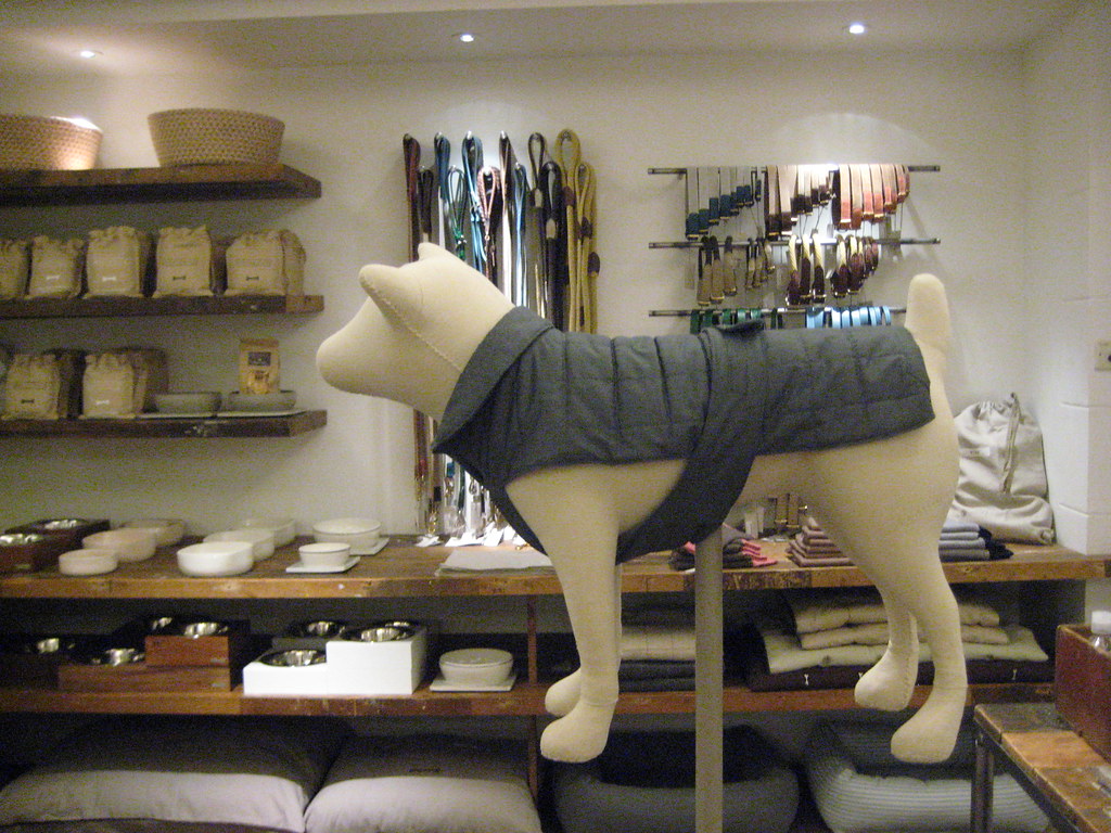 Pet Kingdom Harrods jcrakow Flickr