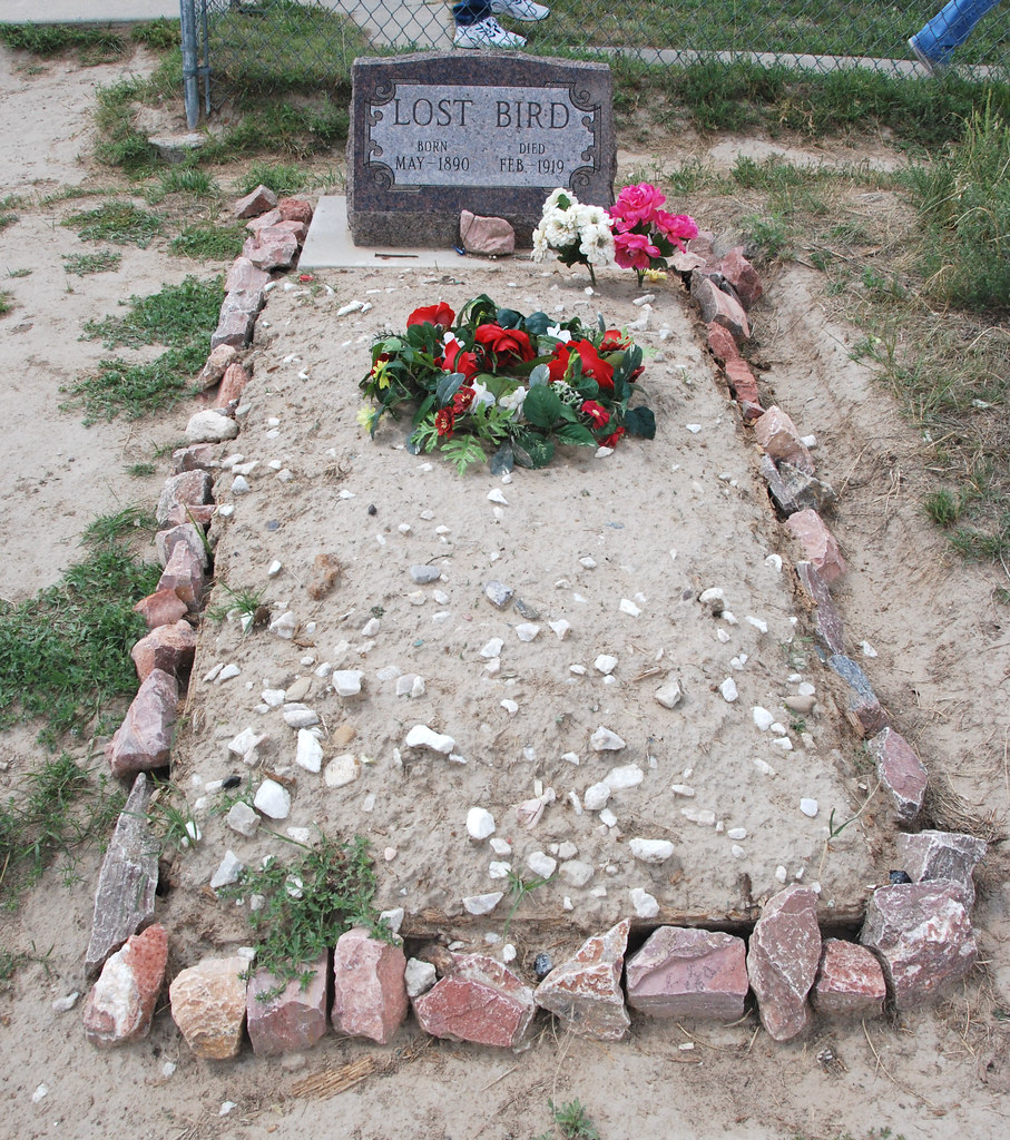 Lost Bird Wounded Knee, South Dakota An infant survivor … Flickr