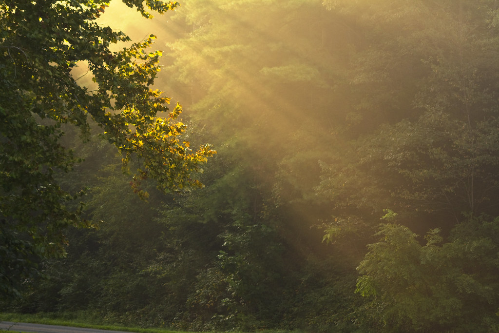 Elevation of W Main St, Lincolnton, NC, USA Topographic Map