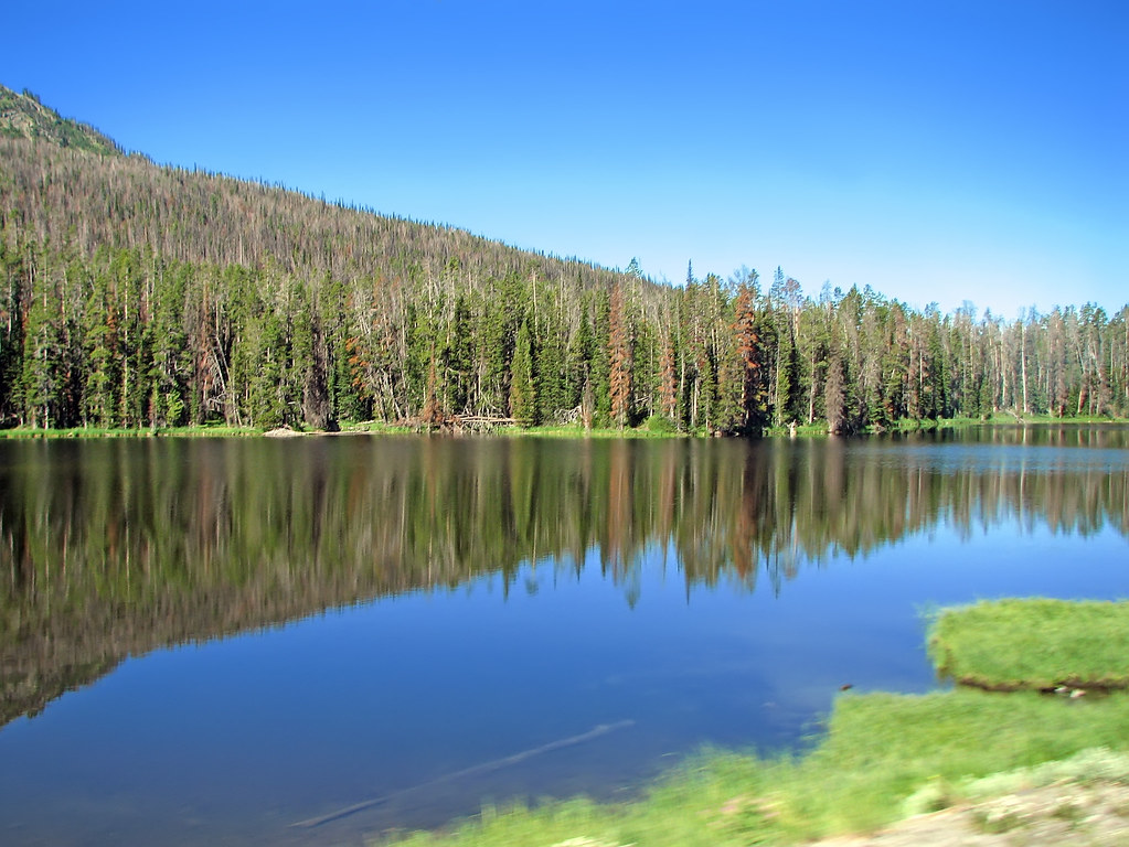 Yellowstone Sylvan Lake Sylvan Lake is a small lake alon… Flickr