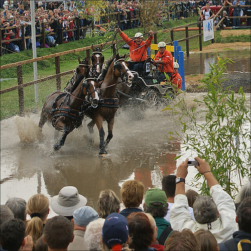 Worldchampion FourinHand Today one year ago Worldchampi… Flickr