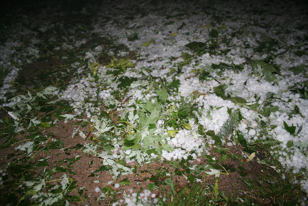 Hailstones The entire ground is covered with hailstones an… Flickr