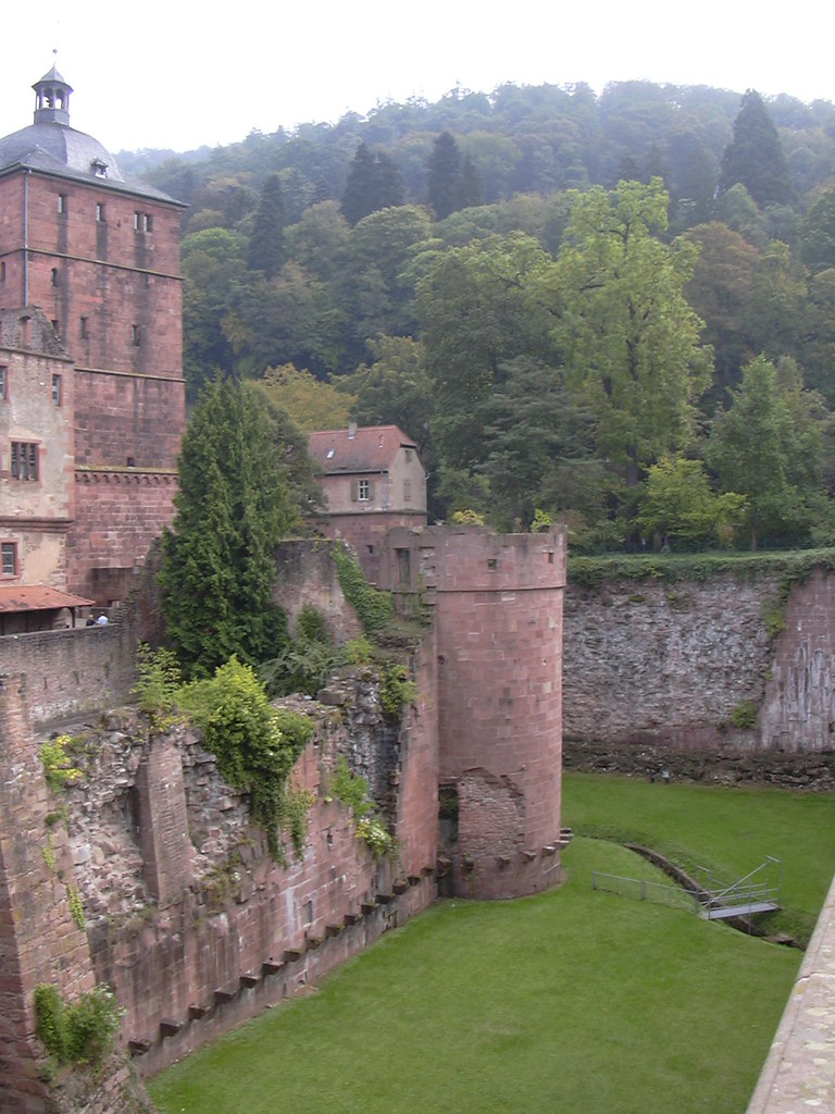 heidelberg, mannheim 077 secret european defenders Flickr