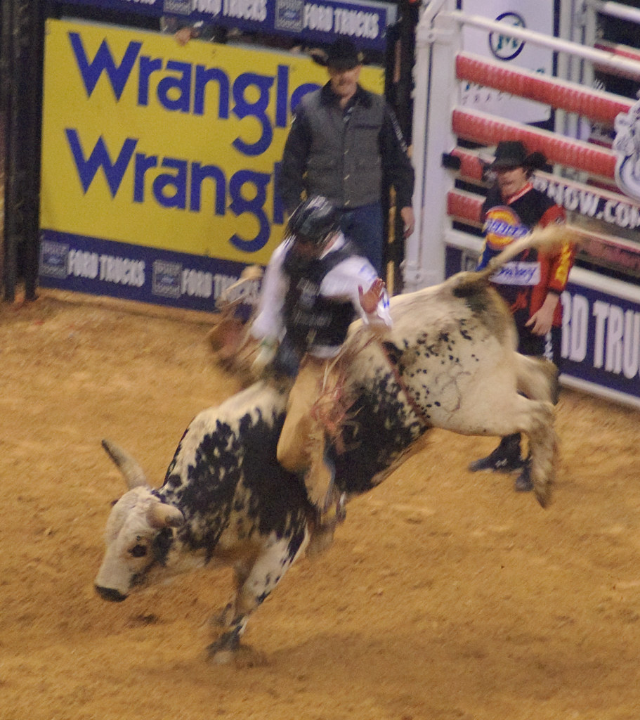 A Rodeo in WinstonSalem bull riding" happens… Flickr