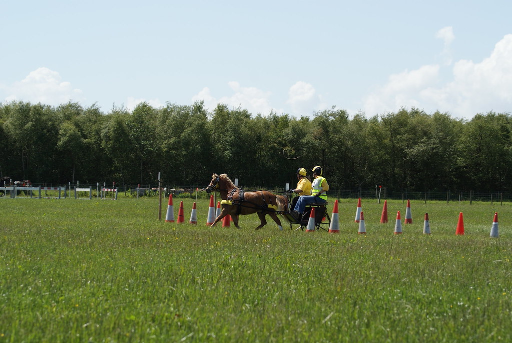 flowdons H D T 193 Dumfries and Galloway Horse Driving Club Flickr