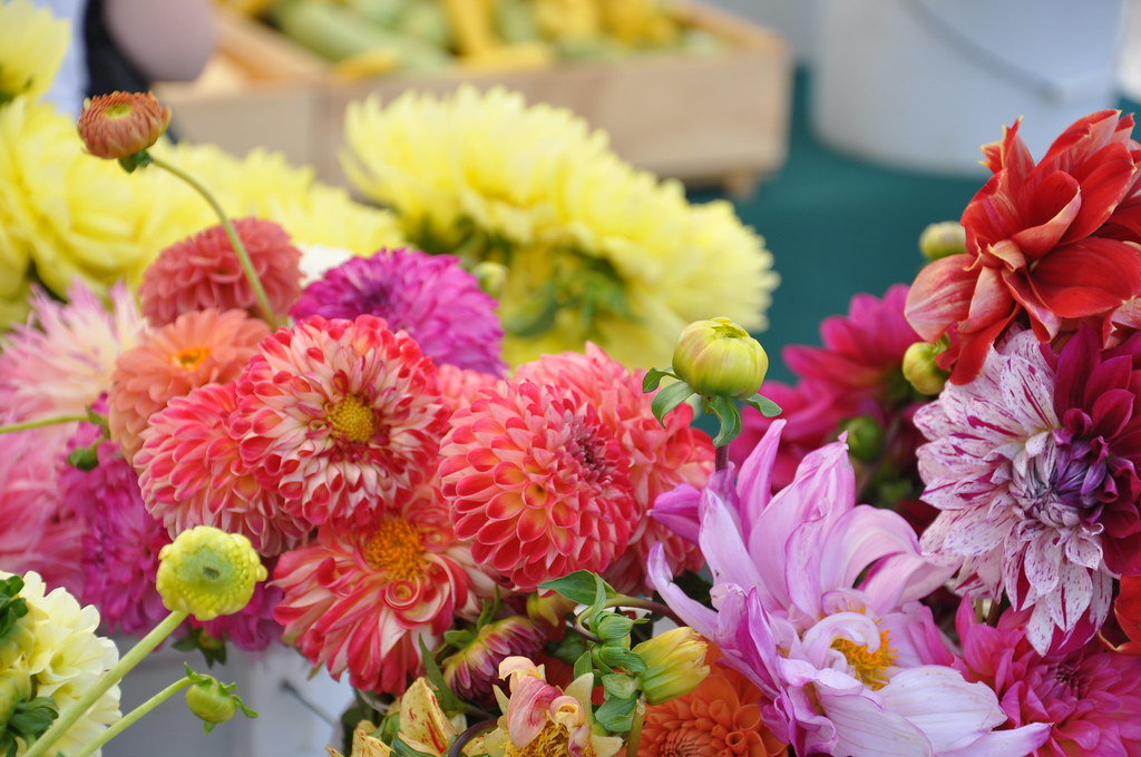 DSC_0005 Scotts Valley Farmer's Market Flowers troy_kitch Flickr