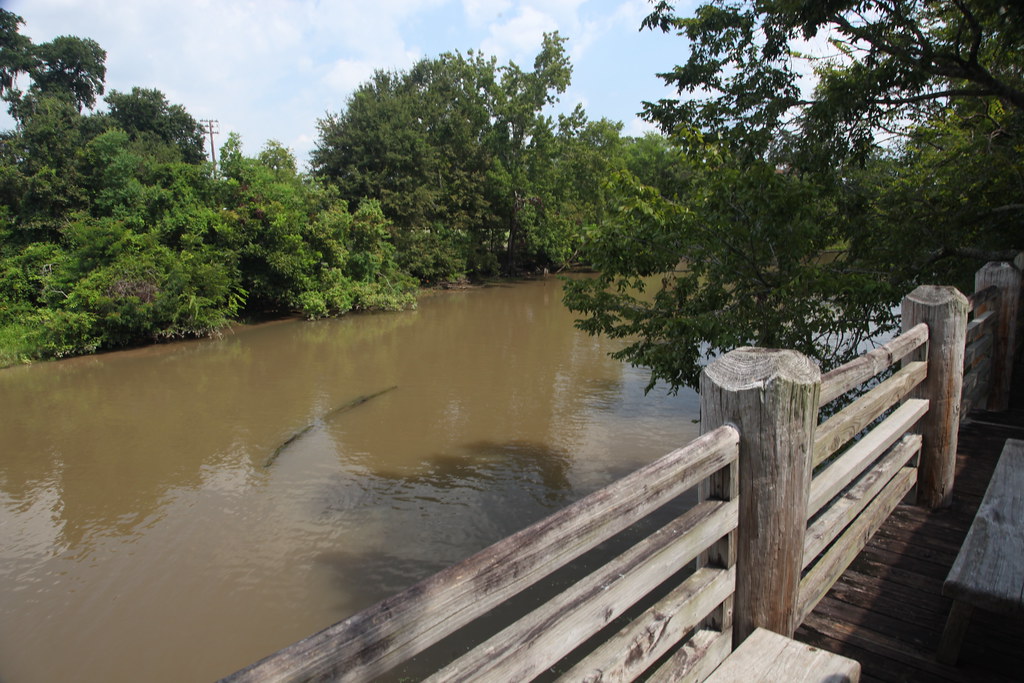 Honey Island Swamp Tours Vermillionville Honey Island Swam… Flickr