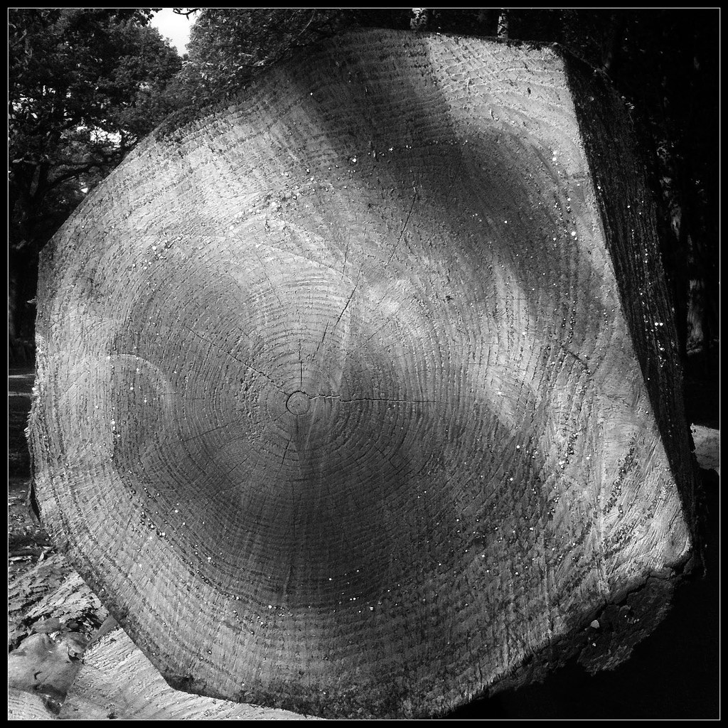 Log Howard Stanbury Flickr