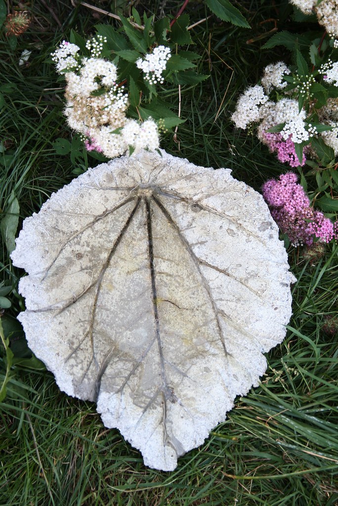 IMG_4481 concrete rhubarb leaf bird bath thing Pia K Flickr