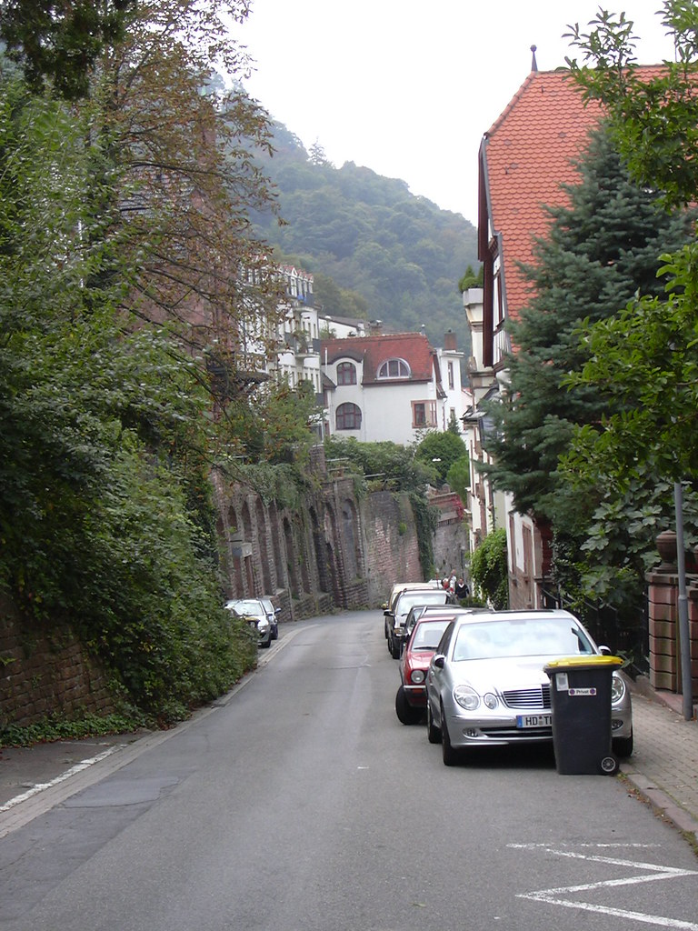 heidelberg, mannheim 092 secret european defenders Flickr