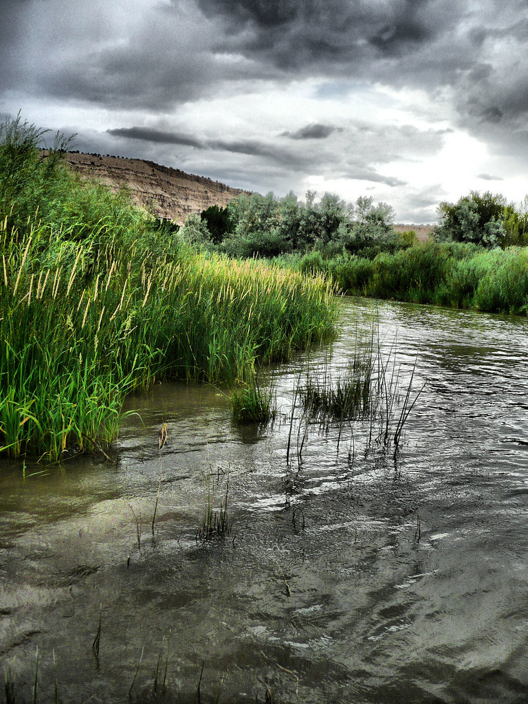 Strawberry River Photo taken while on the Strawberry River… Flickr
