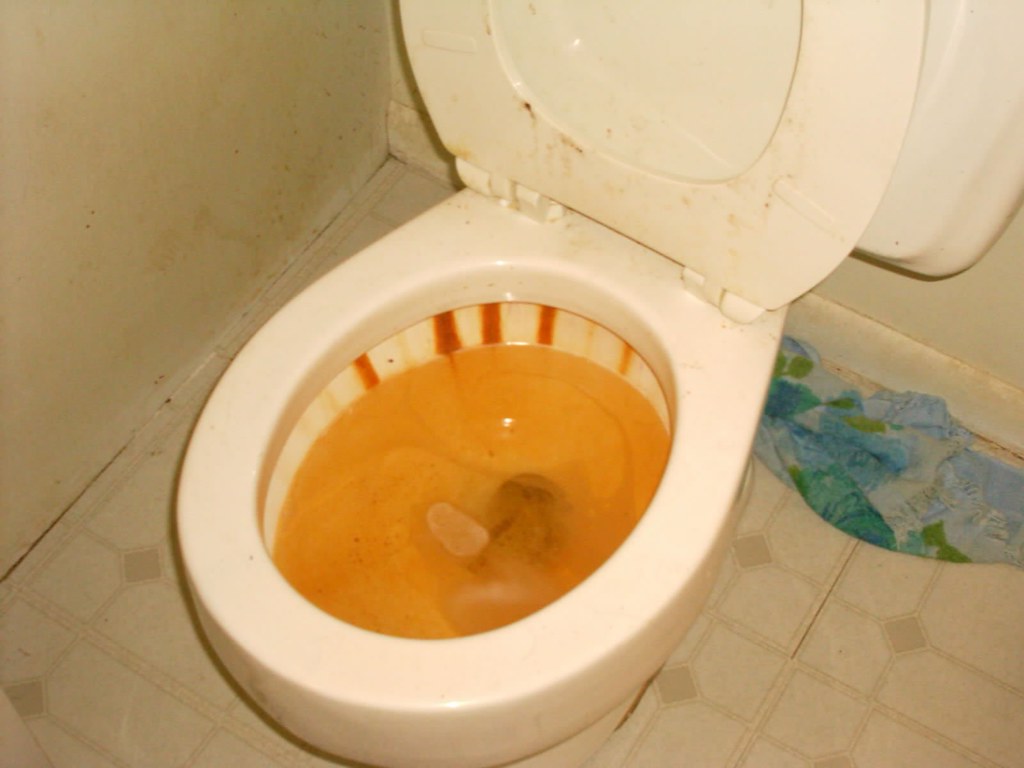 Bathroom hard water stains, 2004 Kelli Lydon Flickr