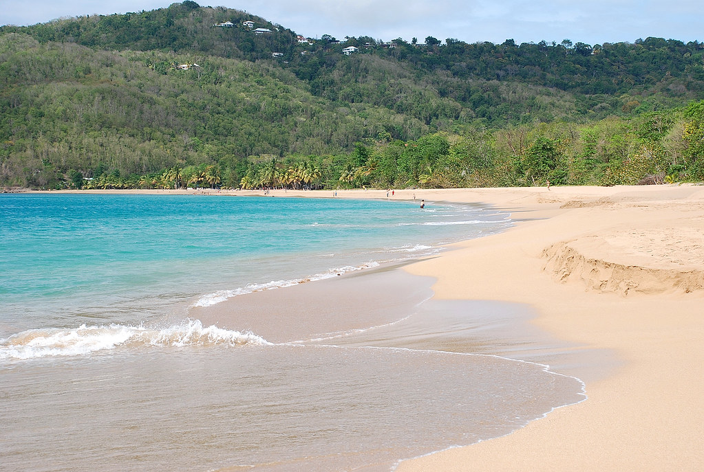 Image De Plage Plage Grande Anse Guadeloupe