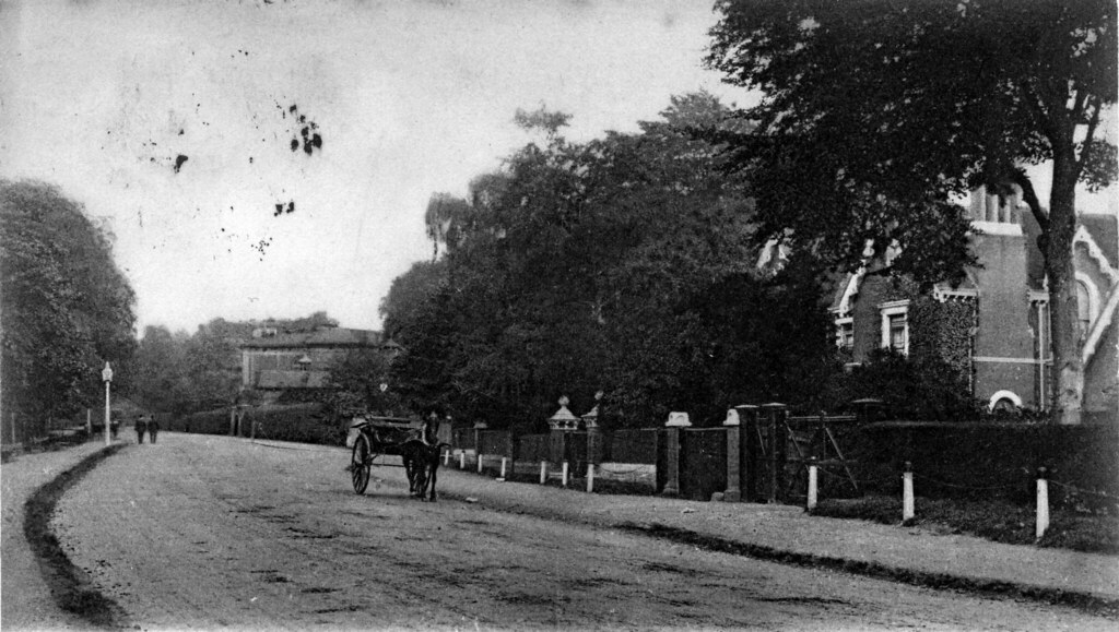 Sydenham Hill The view is towards Crescent Wood Road and s… Flickr