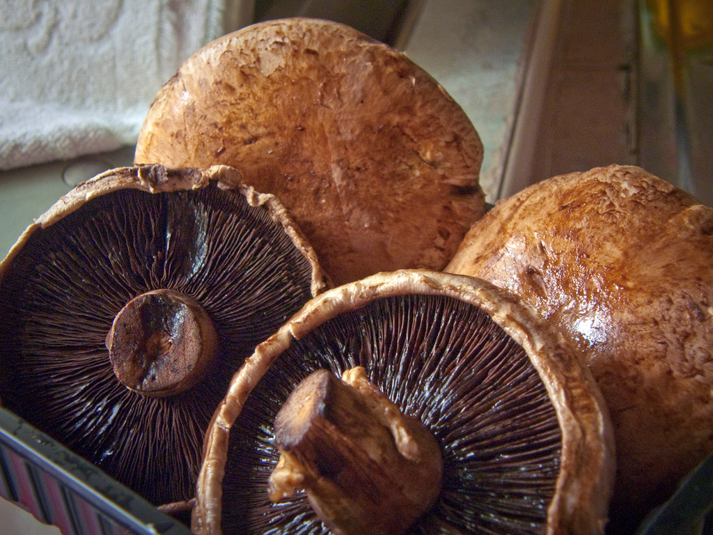 Portobello Mushrooms awee_19 Flickr