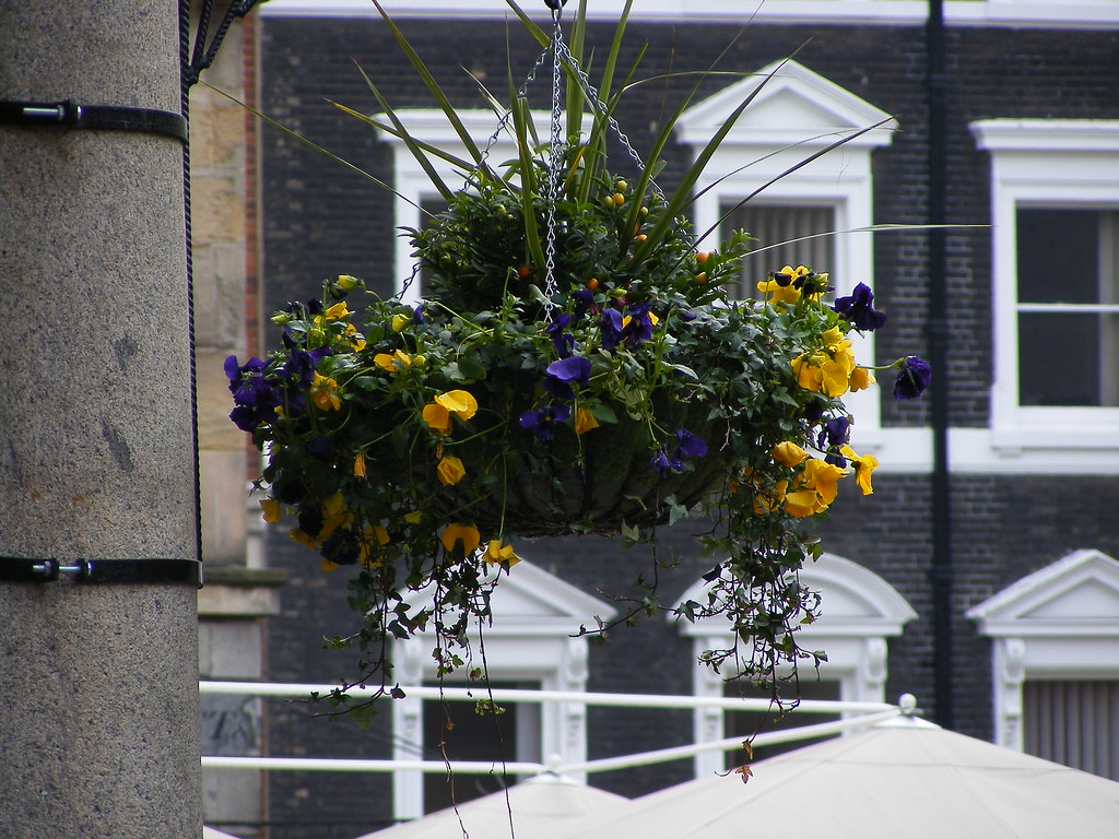 Covent Garden Flowers OgTheClever Flickr