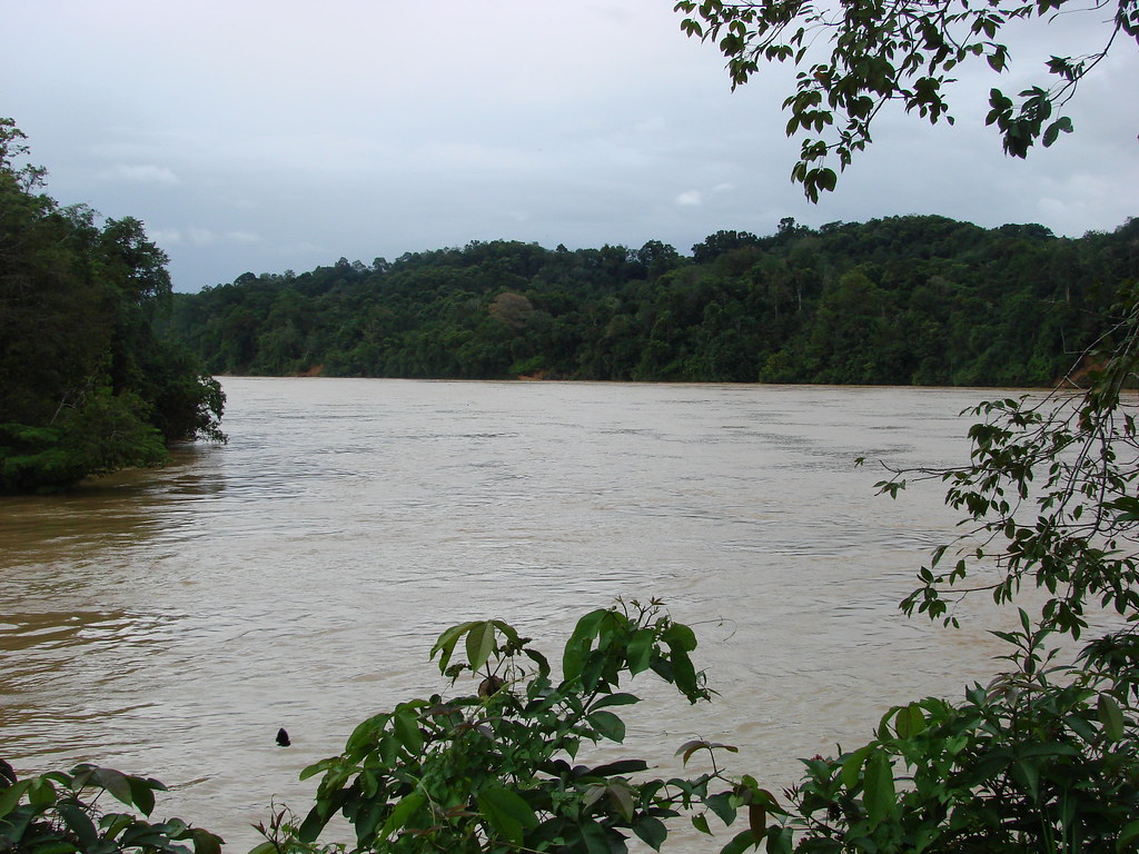 Rajang River Looking at the muddy Rajang river (Malaysia