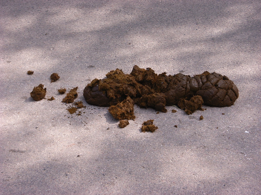poo | Sven Bas | Flickr