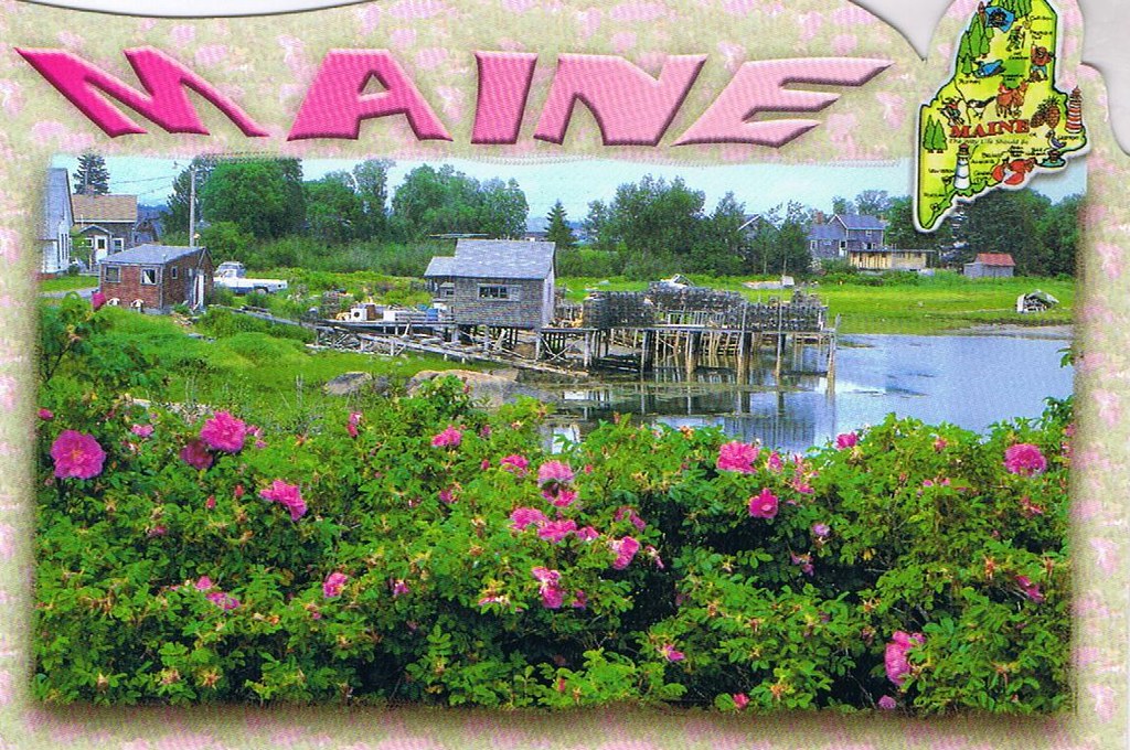 Beals Island Maine postcard Cranberry Cove, Beals Island, … Flickr