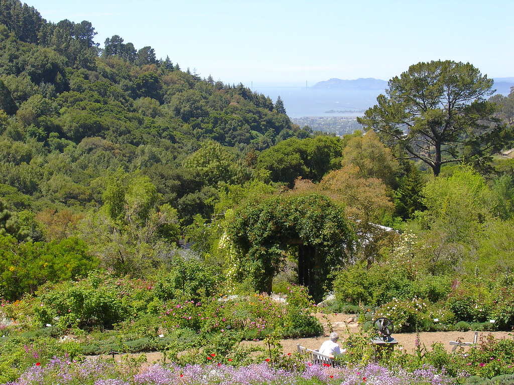 Berkeley Botanical garden 040 Karl Gercens Flickr